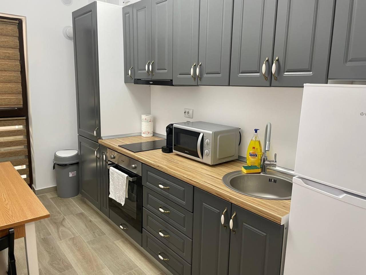 Apartment Moghioros C3 Bucharest